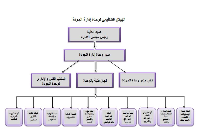 organizer chart