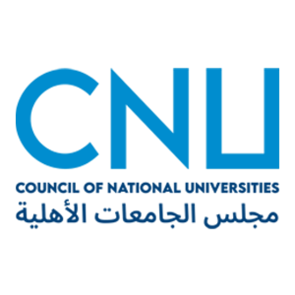 الجيزاوي عضوًا بمجلس الجامعات الأهلية للعام الجامعي 2025/2026